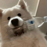 weeeeewiiiii